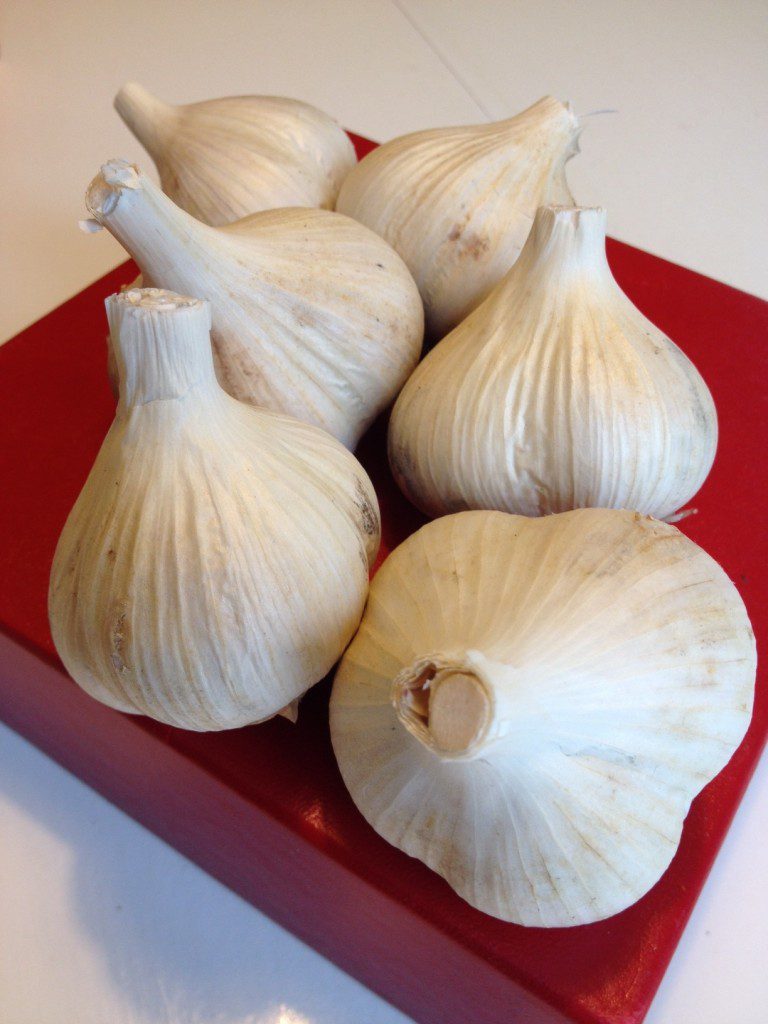 Garlic_Bulbs