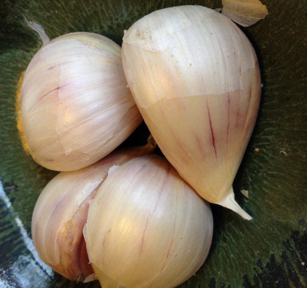 Science, You’re Super : Garlic!