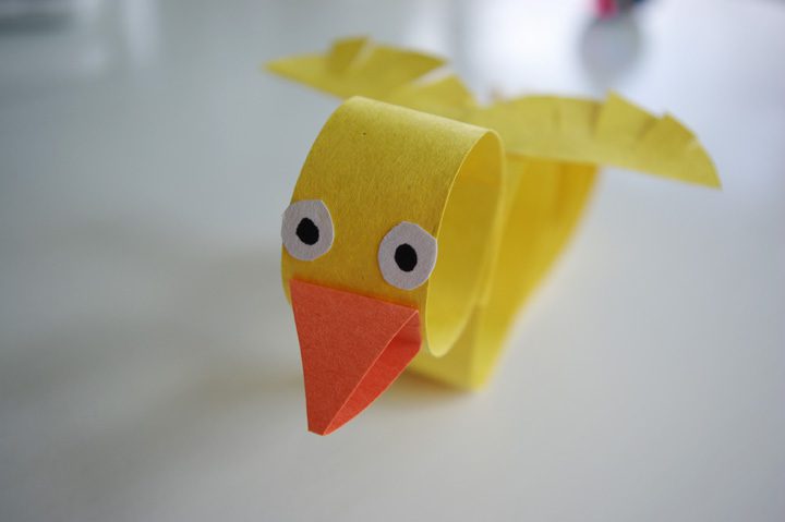 bird19