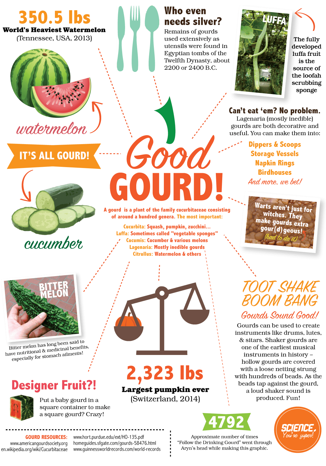 Gourds_Fall15_forweb