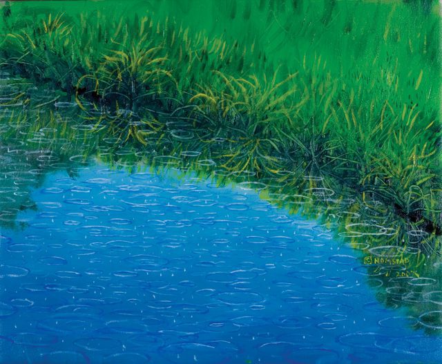RainOnPond