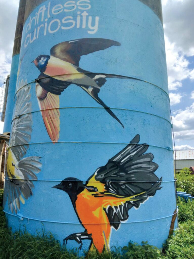 A farm silo painted with artwork of birds and the title Driftless Curiosity at the top