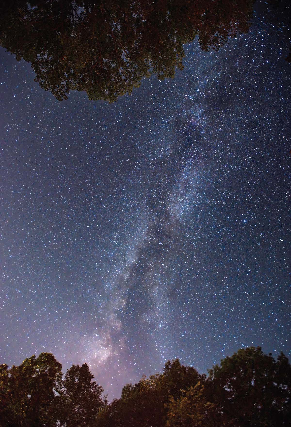 Photo taken by Nick Chill of the full night sky with a light show of stars