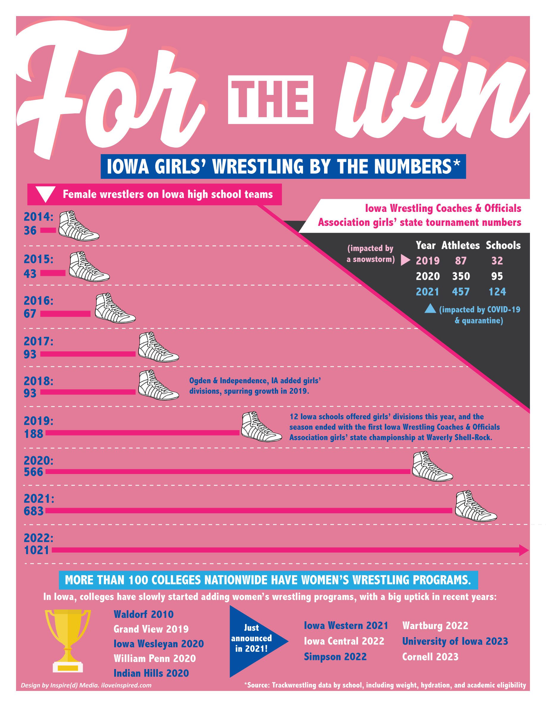 Graphic depicting Iowa Girls' Wrestling by the numbers