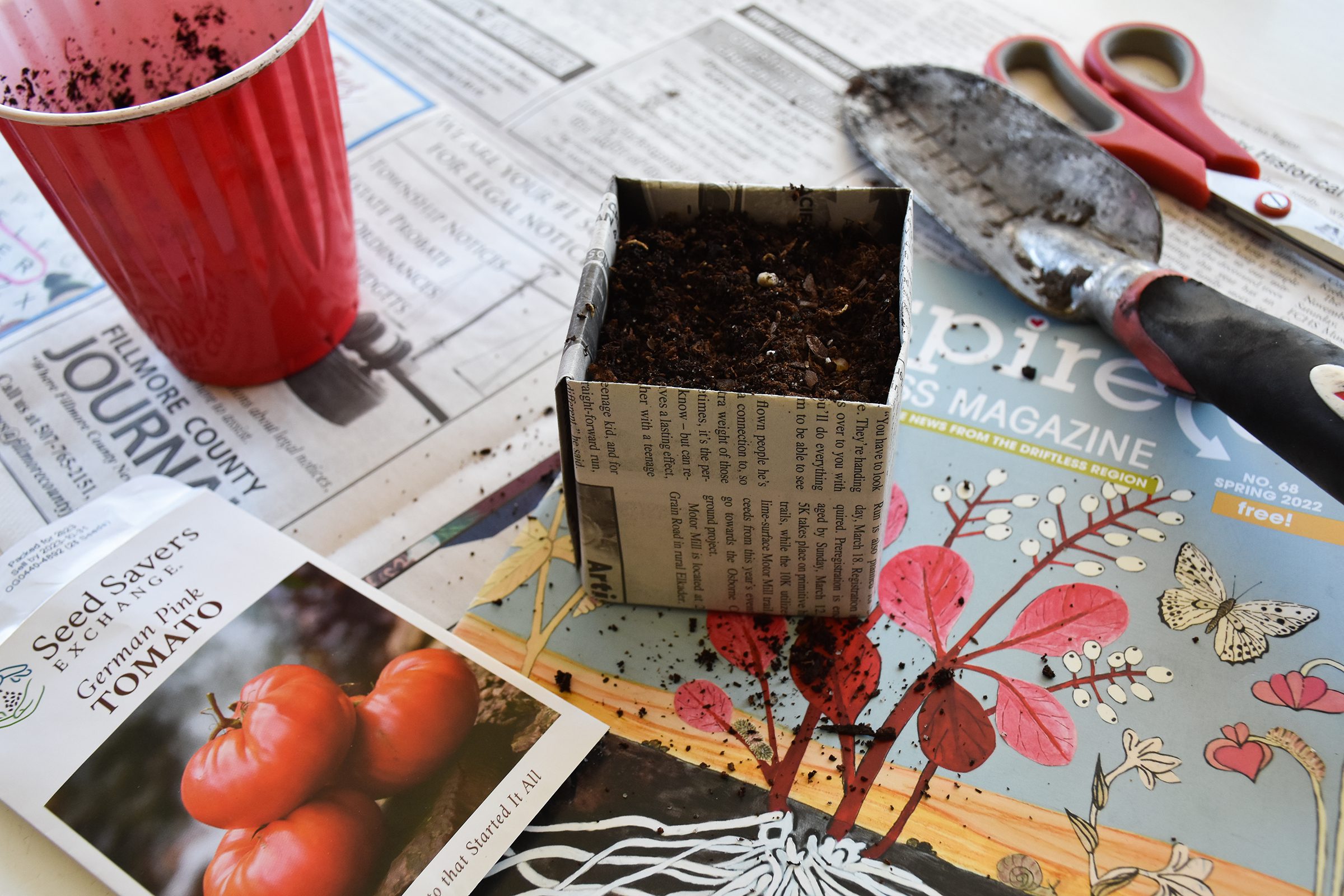 Finished Paper Seed Starter Boxes